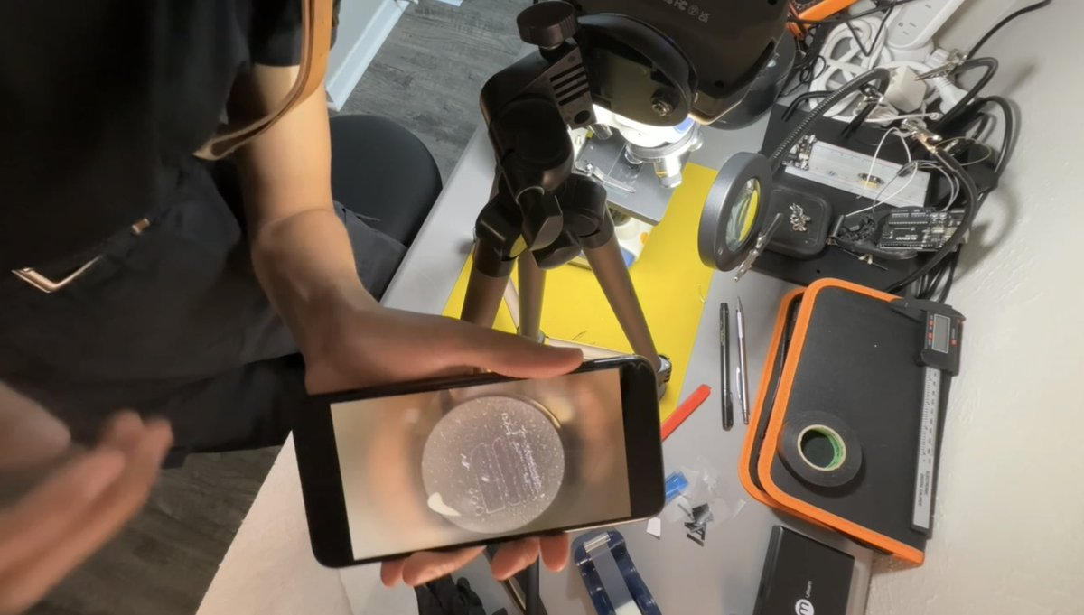On the bench: an earlier field of view, phone held to the microscope.